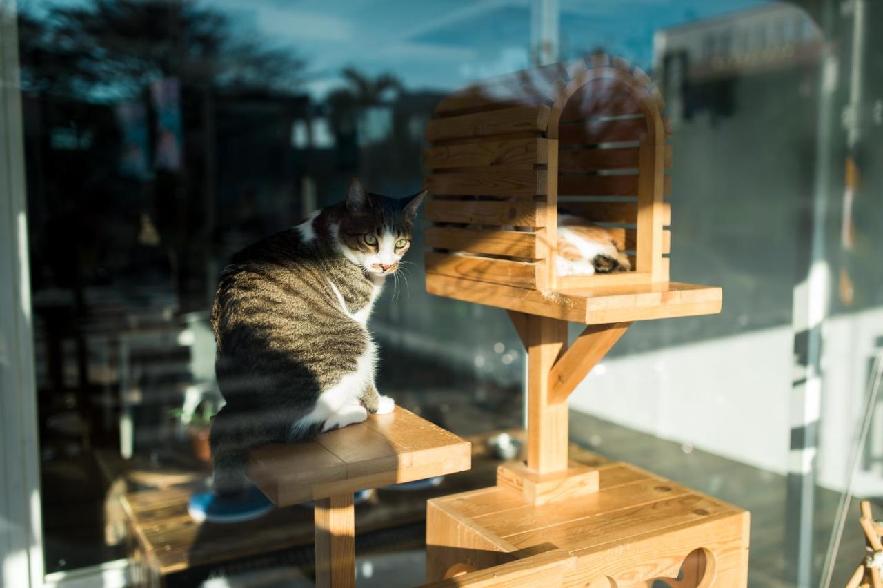 Hello Make Yourself At Home Kchen-ting Exteriér fotografie
