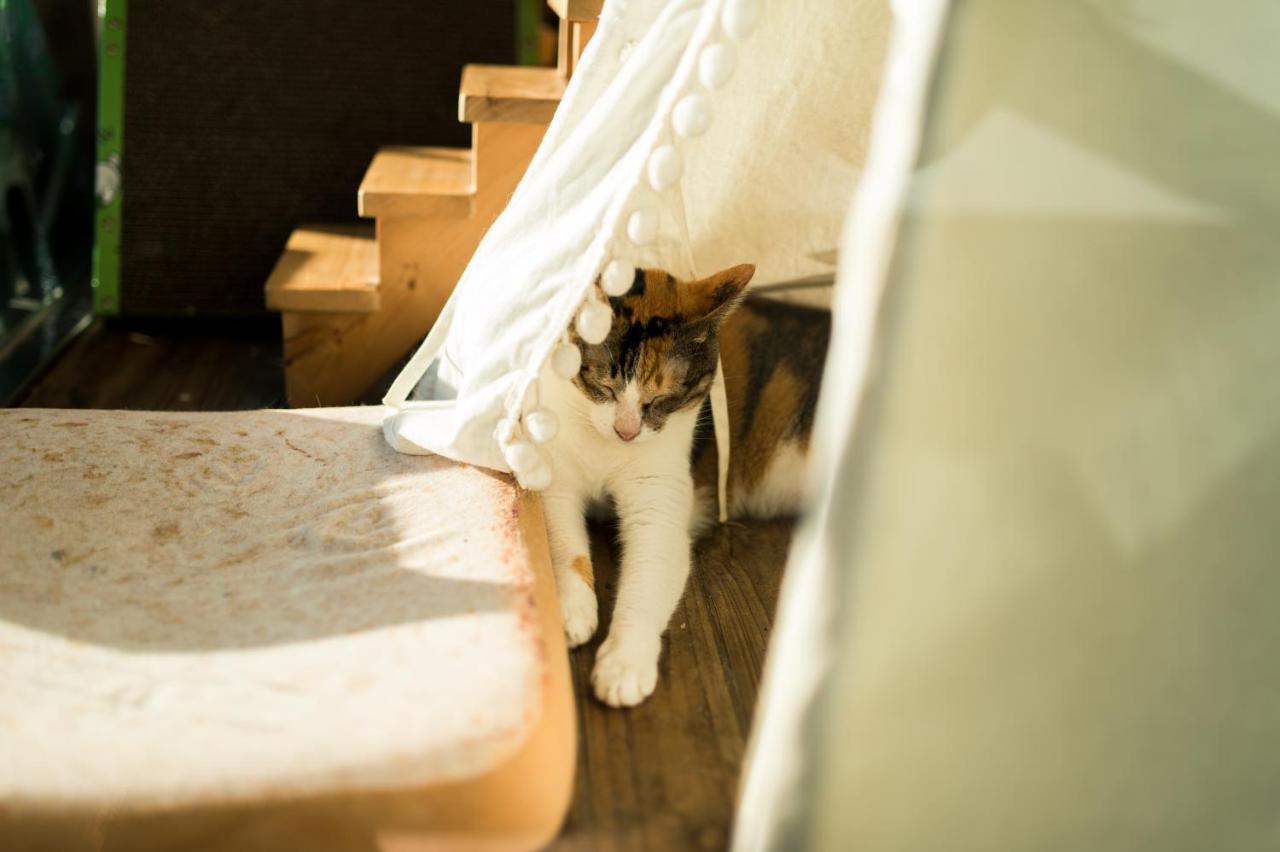 Hello Make Yourself At Home Kchen-ting Exteriér fotografie