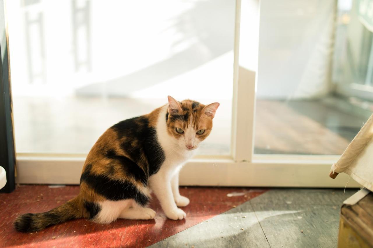 Hello Make Yourself At Home Kchen-ting Exteriér fotografie
